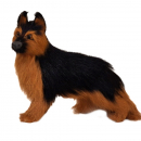 Schäferhund - drei Modelle